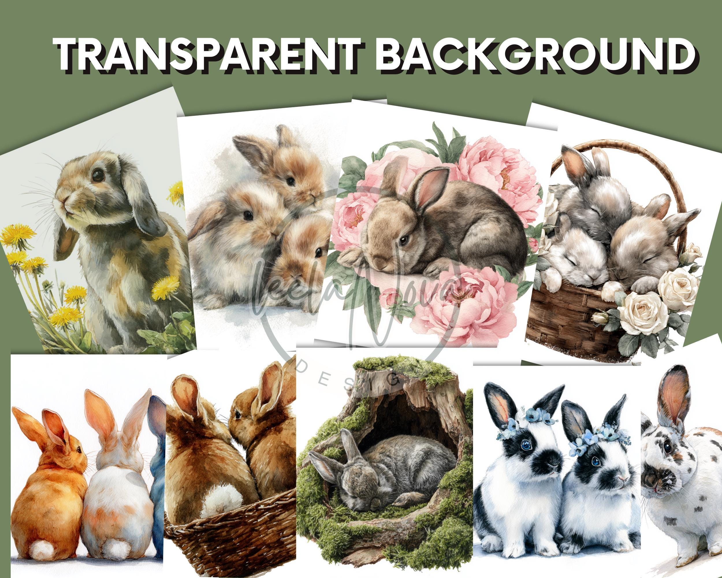 Watercolor Rabbit Clipart PNG: 25 Bunny Illustrations (digital Download ...