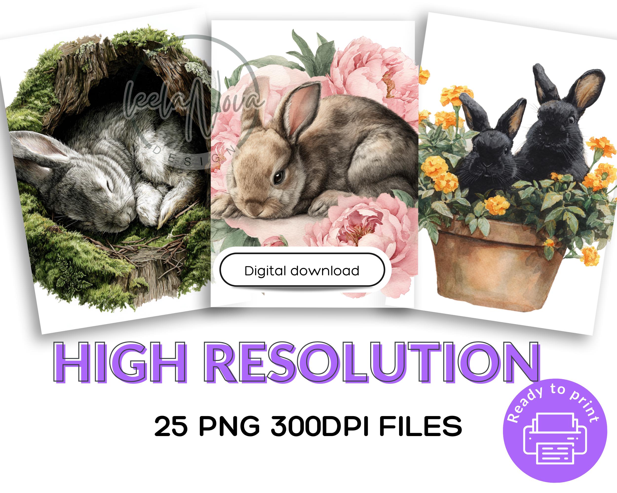 Watercolor Rabbit Clipart PNG: 25 Bunny Illustrations (digital Download ...