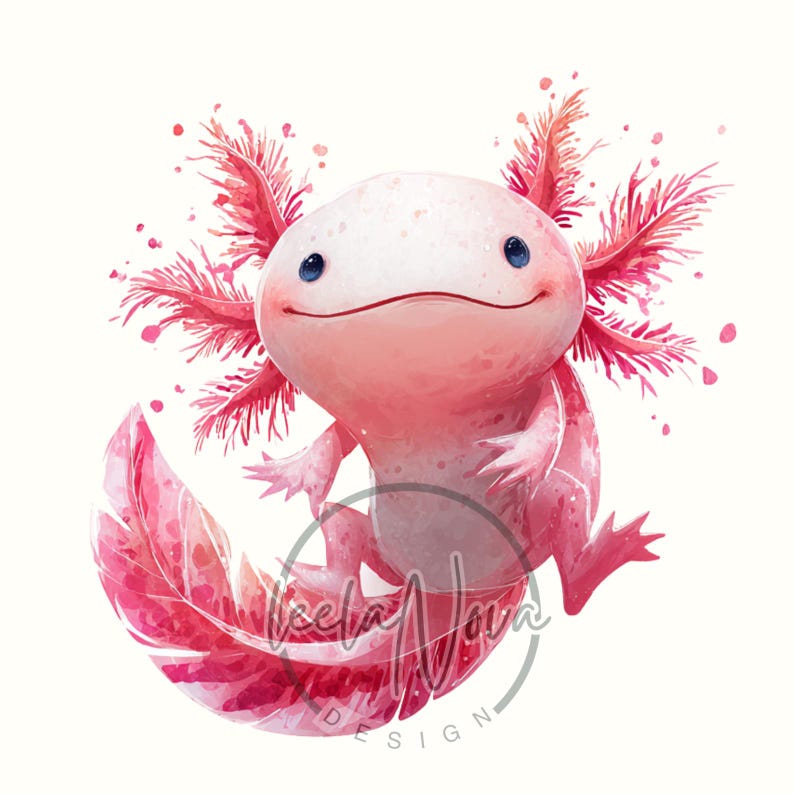 Op de afbeelding: Waterverfillustratie van een lachende axolotl in roze en witte tinten. De axolotl heeft veervormige kieuwen en een lange, vloeiende staart. De afbeelding heeft een zachte, artistieke stijl tegen een witte achtergrond.