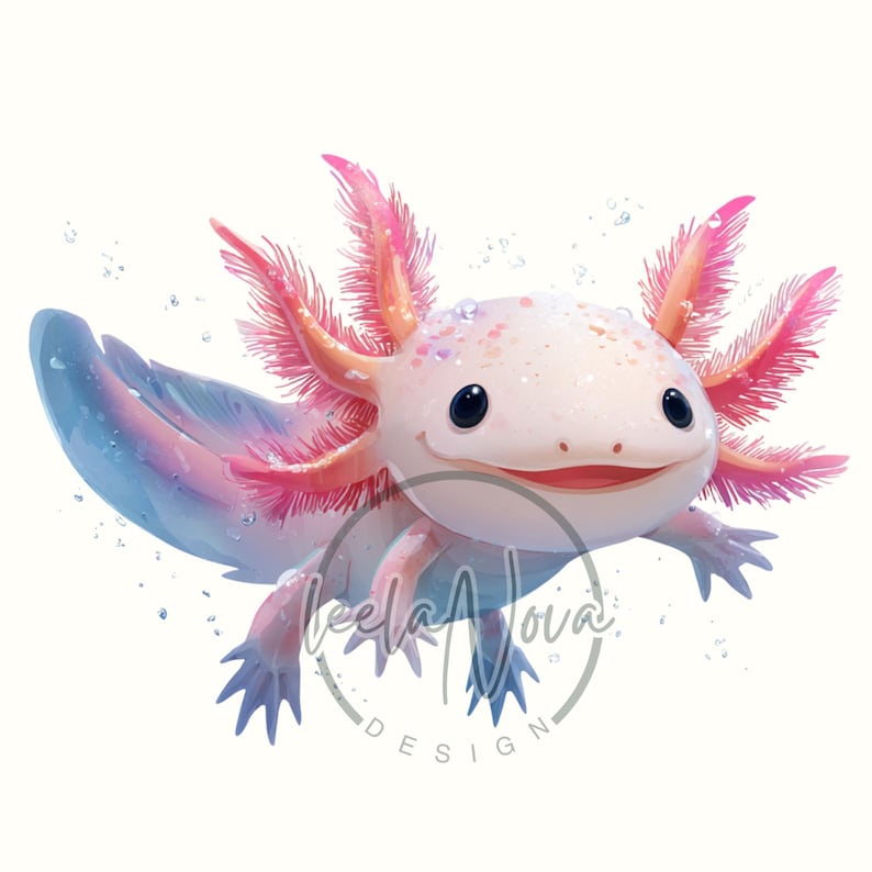 Op de afbeelding: Een charmante aquarel illustratie van een axolotl. De axolotl heeft een lichtroze lichaam, met veervormige roze kieuwen en een blauwe en roze staart. De afbeelding heeft een schattige, vriendelijke uitstraling, met waterdruppels rond de axolotl.