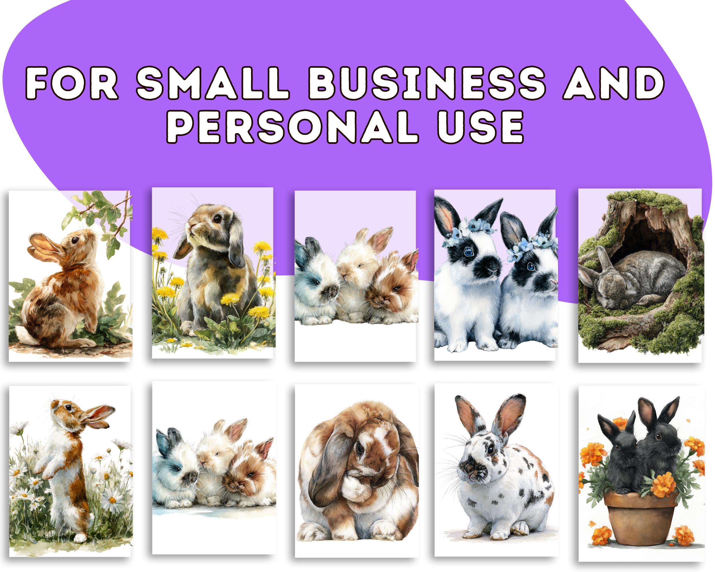 Watercolor Rabbit Clipart PNG: 25 Bunny Illustrations (digital Download ...