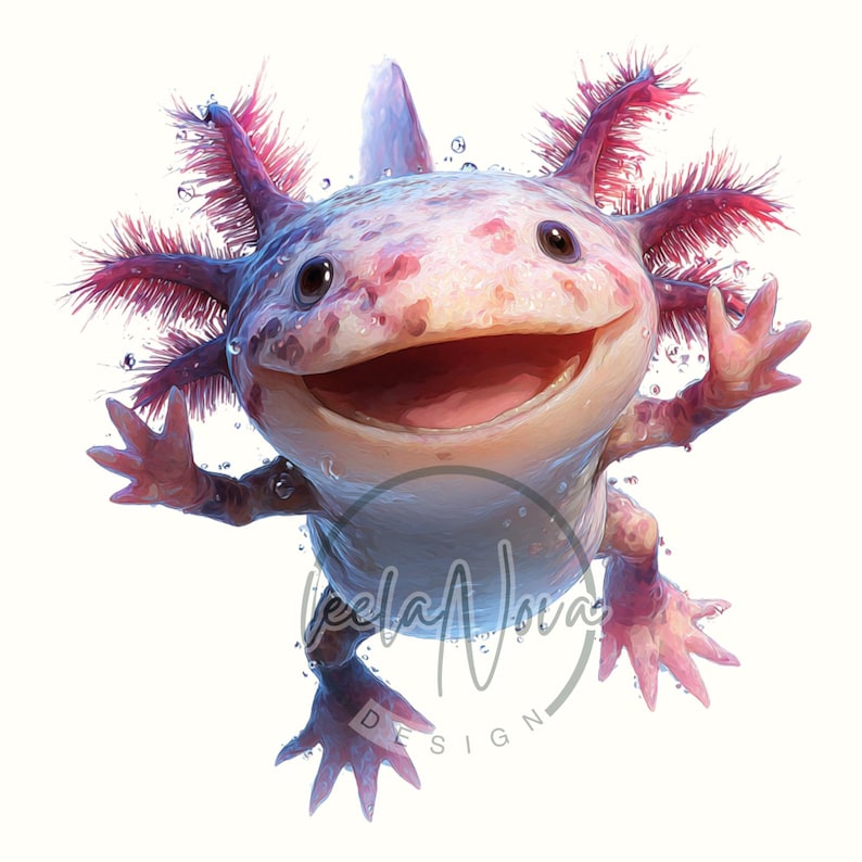 Op de afbeelding: Een digitale illustratie van een lachende axolotl met een roze en wit lichaam, gevederde kieuwen en kleine ledematen. Waterdruppels omringen de axolotl. De afbeelding heeft de tekst "Keela Nova Design" in de rechter benedenhoek.