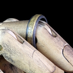8 -- Iron & brass ring --  i+11883