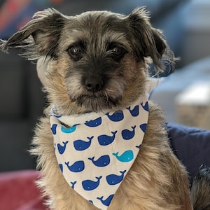 Reversible whale bandana with buckle (medium)