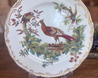 Assiette à dîner vintage oiseaux exotiques Andrea par Sadek - vaisselle Bird Smithsonian 10,5 po.