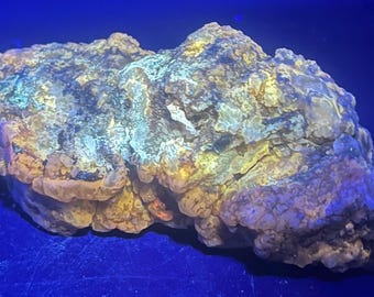 UV Reactive Botryoidal Chalcedony Specimen – Bright Green & Yellow Under Short Wave UV, Orange Yellow Under Long Wave UVCollectible Gift