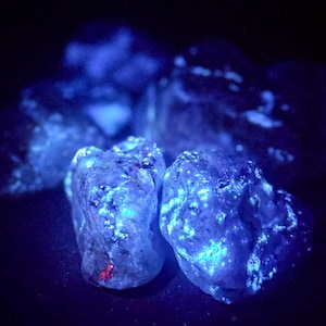 May include: Close-up of several glowing rocks, illuminated with a bright blue light. The rocks have a rough, textured surface with small, colorful inclusions. The overall effect is a vibrant, otherworldly display.