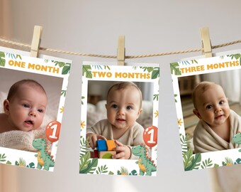 Dinosaur First Year Photo Banner | 1st Birthday Milestone Photos | Baby’s First Year Monthly Banner | One-asaurus Dino Party Decor MG84