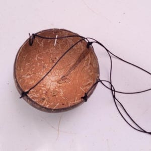 May include: A brown coconut shell planter with a black rope hanging system. The shell has a natural, textured surface. The rope is knotted to create a hanging structure for the planter.