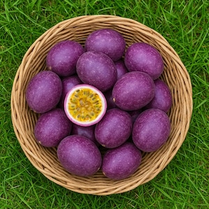 May include: A woven basket filled with vibrant purple passion fruits, one cut open to reveal the yellow pulp and seeds. The basket sits on a bed of green grass, creating a natural and colorful display.