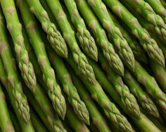 100 Asparagus Seeds: Organic Heirloom Vegetable Garden