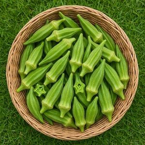 Star of David Okra Seeds: Heirloom, Non-GMO, USA Grown