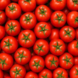 120+ Early Cascade Tomato Seeds - Heirloom - Organic - Non-GMO -- RARE