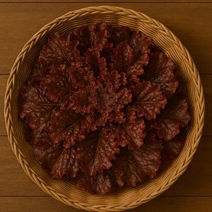 Red Salad Bowl Lettuce Seeds, seeds, Non-Gmo, heirloom, organic, easy to grow, vegetable seeds, herb seeds, high yield, open-pollinated