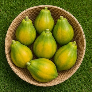 Waimanalo Papaya Seeds: Low-Bearing, USA Seller