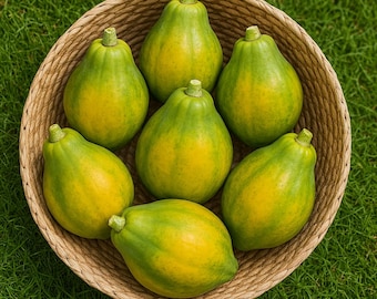 Waimanalo Papaya Seeds: Low-Bearing, USA Seller