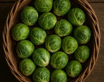 Long Island Brussels Sprouts Seeds: Non-GMO Heirloom Vegetable
