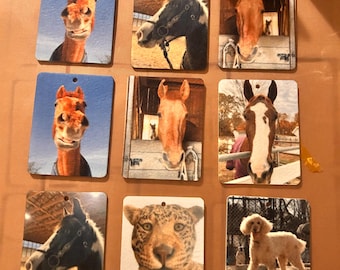 Custom Pet Photo Air Freshener • Personalized Car Freshener • Dog & Cat Gifts • Memorial Pet Gift • Funny Farm Crew Pet Keepsake