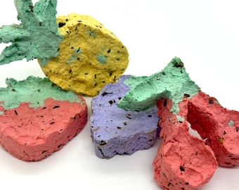 Wildflower Seed Bombs (Fruit & Veggie Shapes)