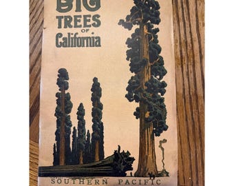 Broschüre der Southern Pacific Railroad von 1914: Die großen Bäume Kaliforniens (WH Bull Art)
