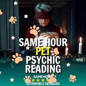 Pet Psychic Reading, Living Pet Reading, Animal Communicator, Deceased Pet Reading, Cat or Dog Reading, Same Hour Psychic Reading