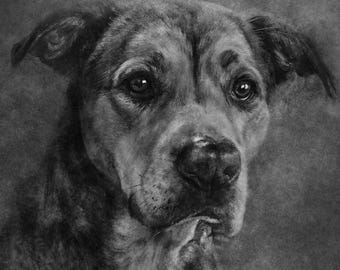 Custom Pet Portrait Artwork from Photo | Expressive Modern Style | Dog or Cat Wall Art | Personalized Print Decor | Unique Pet Lover Gift