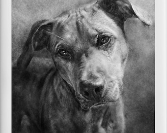 Custom Pet Portrait Artwork from Photo | Expressive Modern Style | Dog or Cat Wall Art | Personalized Print Decor | Unique Pet Lover Gift