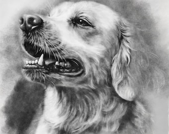 Additional Service Fee | Shipping Upgrade | Price Difference | Rush Order | Custom Add-On