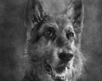 Custom Pet Portrait Artwork from Photo | Expressive Modern Style | Dog or Cat Wall Art | Personalized Print Decor | Unique Pet Lover Gift