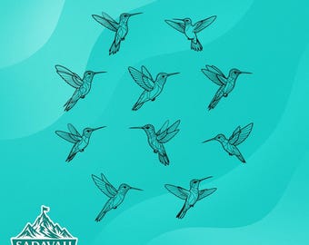 Colibrí / SVG DXF EPS + PNG / Descarga instantánea