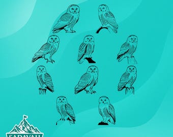 Sneeuwuil | SVG DXF EPS + png | Direct downloaden