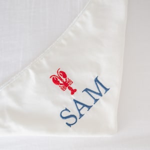 Personalized Baby Bib - Boutique Bib or Bib/Burp Cloth Set - Shower Gift- Baby Girl- Baby Boy - New Baby Gift, Personalized Baby Gift
