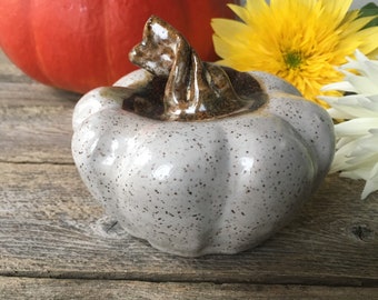 Ceramic Decorative Pumpkin in White with Speckles, Wheel-thrown and Altered Pumpkin Decor, Stoneware Pumpkin, Fall Decor