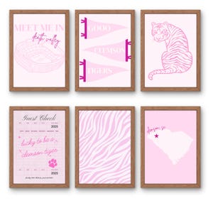 Pink Clemson University Wall Art Prints For Dorm