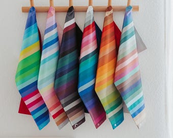 Seasonal Color Analysis Flags - 6 Flag Dominant Characteristics Set