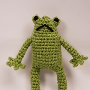 No-Sew Froggy Crochet PATTERN