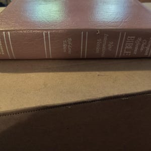 May include: A pink Bible with silver lettering and a textured cover. The spine reads "BIBLE" and "New International Version". The book is a "Thompson Chain-Reference" edition and a "Red Letter Edition".