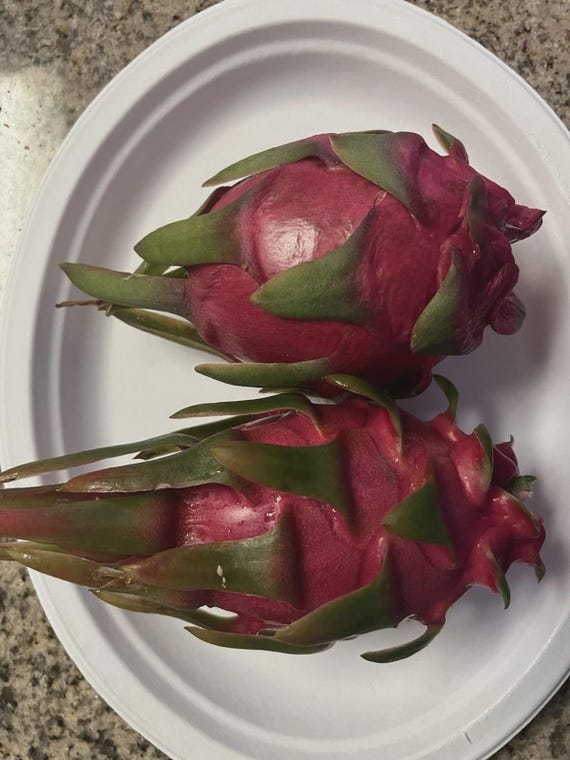 Sin Espinas dragon fruit