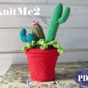 4 Wzór szydełkowy z kaktusami i doniczkami Amigurumi Frida Secret BOX wzór na szydełku - soczysty, kaktus Frida szydełkowa aplikacja na szydełkowym pojemniku