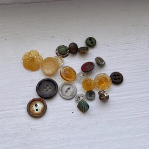 May include: A collection of assorted sewing buttons in various shapes, sizes, and colors including amber, brown, green, red, and clear. The buttons feature different textures, patterns, and hole configurations, ranging from flat discs to domed shapes.