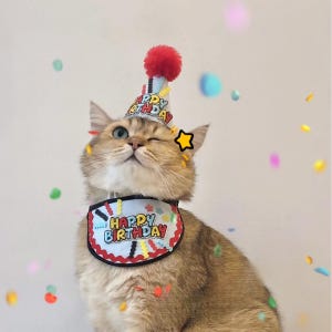 Colorful Cat Birthday Hat, Cat Birthday Party Collar, Birthday Hat