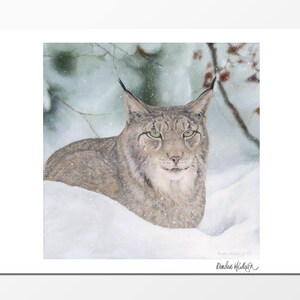 Lynx Wildlife Fine Art Giclée Print - &quot;Winter Queen&quot; by Brendan McCullough