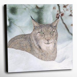 Lynx Wildlife Canvas Art Print - &quot;Winter Queen&quot; by Brendan McCullough