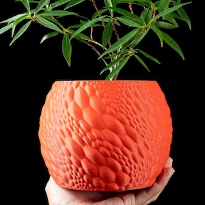 Eco-Friendly Biodegradable Planter  Handmade 3D Printed Flower Pot from Plant-Based Plastic