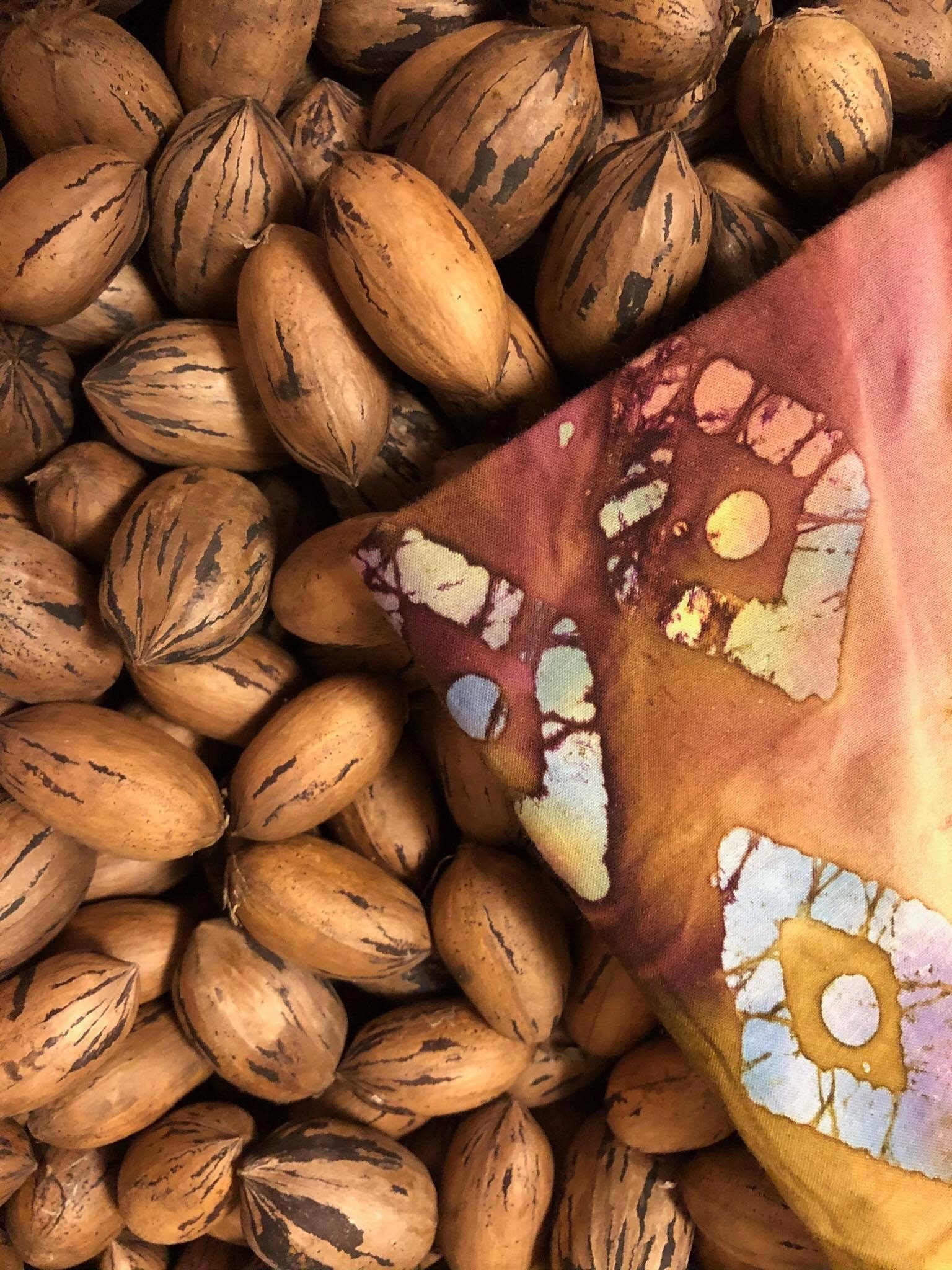 Pecans Grown 48 lb BULK Etsy