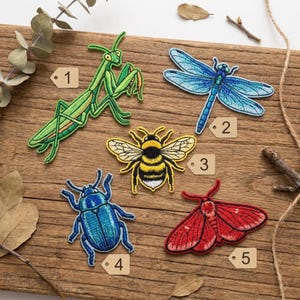 May include: Embroidered insect patches including a green praying mantis, blue dragonfly, yellow and black bee, blue beetle, and red moth. Each patch features detailed stitching and is displayed on a wooden surface.