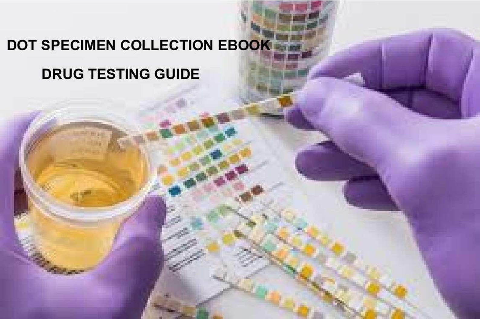 DOT Specimen Collection Training, Drug Screening, Drug Testing - Etsy