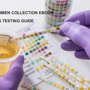 May include: Image of a urine sample in a clear plastic cup with a test strip. The text "DOT SPECIMEN COLLECTION EBOOK DRUG TESTING GUIDE" is visible. Purple gloved hands are holding the cup and test strips.