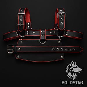 May include: Black leather harness with red trim and silver hardware. The harness features adjustable straps, buckles, and a D-ring. The Boldstag logo is visible in the bottom right corner.