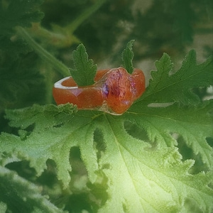 May include: A close-up of a ring with a reddish-orange band and a textured, gem-like centerpiece. The ring rests on a vibrant green leaf with a blurred green background. The ring's design is organic and nature-inspired.